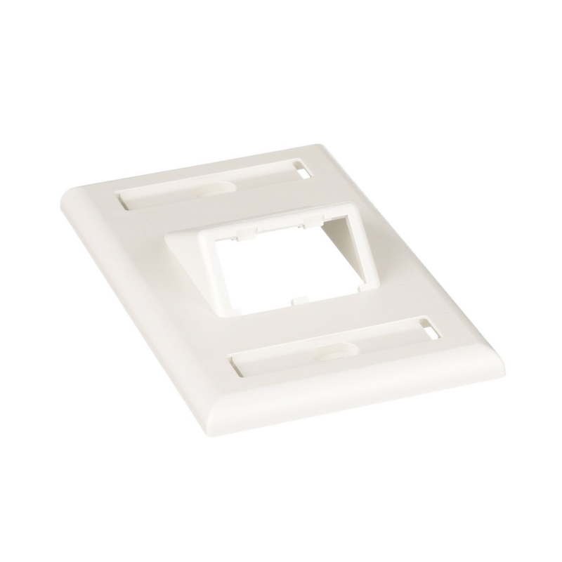 CFPSL2IWY Placa de Pared Vertical Clásica, Salida Para 2 Puertos Mini-Com Inclinados, Con Espacios Para Etiquetas, Color Blanco Mate