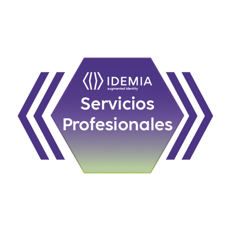 287889259 REMOTE ASSISTANCE JUNIOR 4 HORAS