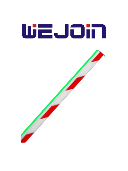 WEJOIN WJLBM6 - Brazo Recto Octagonal de 6 Metros con Led