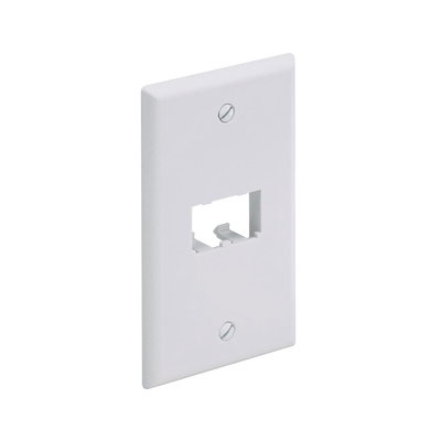 Placa de Pared Vertical Clásica, Salida Para 2 Puertos Mini-Com, Color Blanco - Toer