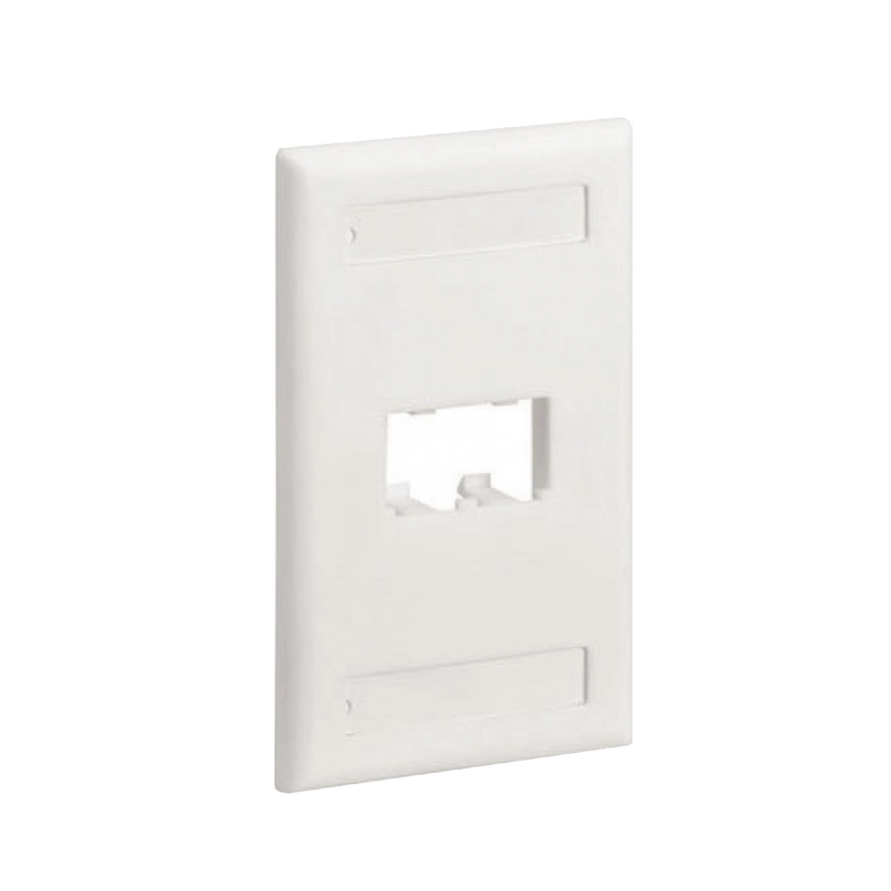 Placa de Pared Vertical Clásica, Salida Para 2 Puertos Mini-Com, Con Espacios Para Etiquetas, Color Blanco