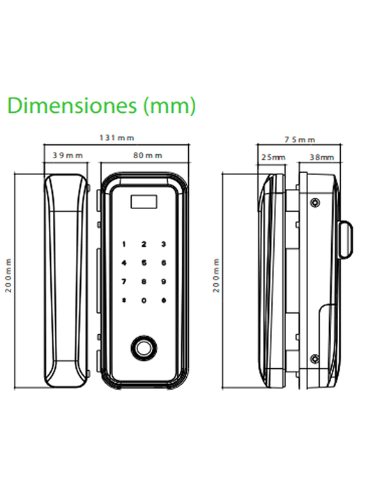 ZK GL300 - Cerradura Biométrica para Puertas de Vidrio, Compatible con Anchos de Puerta de 10 a 12 mm, Capacidad para 100 Usuarios, Control Remoto Incluido, Compatible con Tarjetas Mifare 13.56 MHz