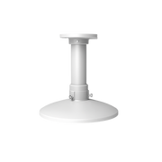 Montaje de Techo / Compatible con Cámaras HIKVISION / 25 Centimetros de Largo / Exterior - Toer