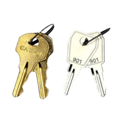 Kit De Llaves De Repuesto y Acceso Para Gabinetes FireNet, FireNet Plus y FireNet L@titude (0100-03380)