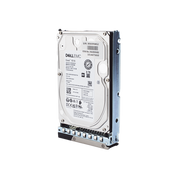 Disco Duro Enterprise 3.5" 8 TB / Hikvision (DELL)/ 7200 RPM / SATA / Alto Rendimiento / Recomendado para Servidores Hikvision - Toer