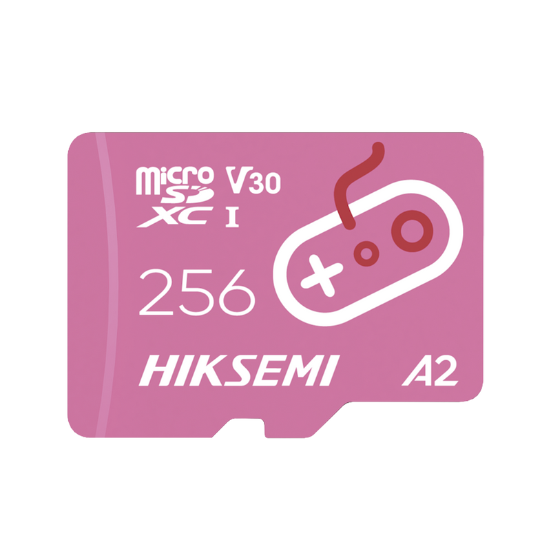 HS-TF-G2/256G Memoria Micro SD / Enfocado para Consolas de Videojuegos (Gaming) / 256 GB / Lectura 170 MB/s / Escritura 90 MB/s
