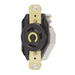 Receptáculo de Media Vuelta Industrial 30 A 125 V CA 2 Polos 3 Hilos (Nema L5-30R) Color Negro. - Toer
