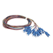 Kit de 12 Pigtails SC/UPC Monomodo 2 metros - Toer