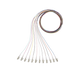 Kit de 12 Pigtails con Conector LC, Multimodo 50/125 OM3, 900um, de 1 Metro - Toer