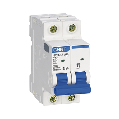 Pastilla para Riel Din, 2 Polos, 32 Amp, Vca:110/415v, 6kA, Catálogo: NXB632PC32, Serie: NXB-63. - Toer