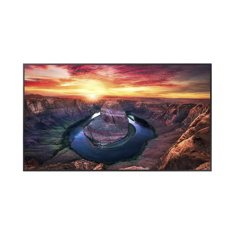 Pantalla Profesional LED de 65, UHD 4K (3840x2160p), Entradas de Video HDMI/DisplayPort, Bocinas Integradas de 10 W. Compatible VESA. Modo de Simulación DICOM