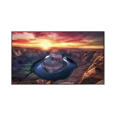 Pantalla Profesional LED de 65", UHD 4K (3840x2160p), Entradas de Video HDMI/DisplayPort, Bocinas Integradas de 10 W. Compatible VESA. Modo de Simulación DICOM - Toer