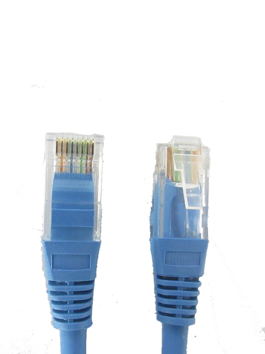 SAXXON P61UA - Cable patch cord UTP 1 metro / CAT 6 / Color azul