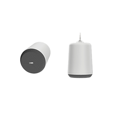 Altavoz Colgante 6.5" | PoE++-PoE+-PoE | Dante Audio Networking | DSP Integrado | 100-105 dB SPL | Plenum Rated UL2043 | Pendant Ceiling Mount