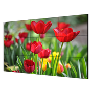 Pantalla LCD 55" para Videowall / Entrada HDMI - VGA - DVI - DP / Monitor Robusto / Bisel Delgado (3.5 mm) / Daisy Chain (Conexion en Cadena sin Software) - Toer